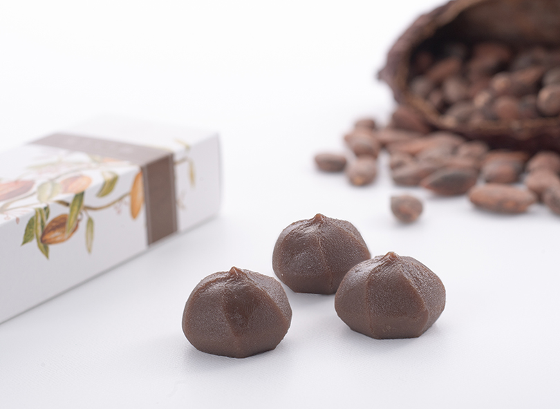 燦チョコ餅（5個入）｜赤福オンラインショップ